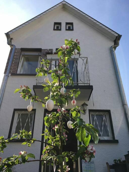 Schoenes Haus Mit Grossem Garten Seligenstadt Bagian luar foto